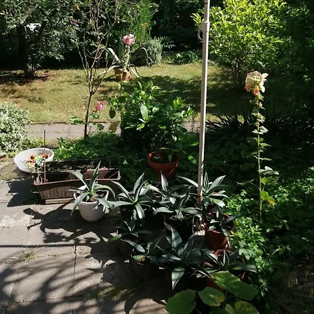 Apartment 1 Sassnitz